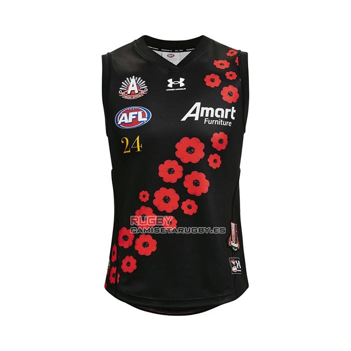 Essendon Bombers